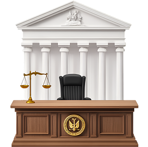 The Administrative Court on the International Stage