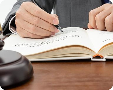 แผนแม่บทศาลปกครอง