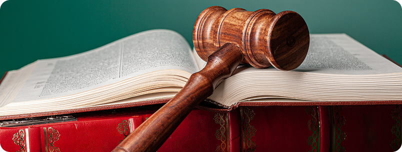 หลักกฎหมายจากบทความสั้นคดีปกครองที่น่าสนใจ