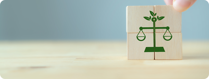 อื่นๆ เช่น สิ่งแวดล้อม ละเมิดเจ้าหน้าที่ ที่ดิน การตีความกฎหมาย